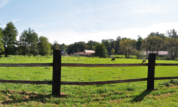Eco-Domaine du Lac - Pierrefitte en Auge : Village loisirs