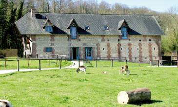 Eco-Domaine du Lac - Pierrefitte en Auge : Gite du Pressoir